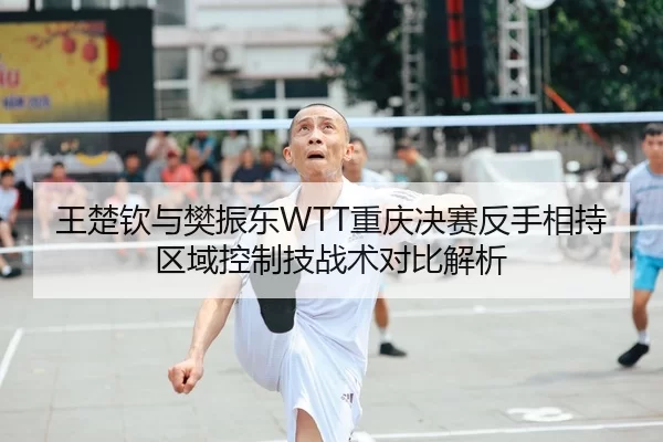 王楚钦与樊振东WTT重庆决赛反手相持区域控制技战术对比解析