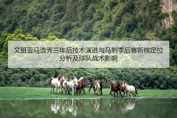 文班亚马选秀三年后技术演进与马刺季后赛新核定位分析及球队战术影响